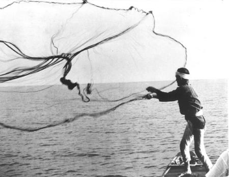 写真　江戸川で投網漁をする漁師