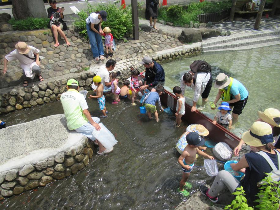 画像：古川親水公園で金魚を放流する親子