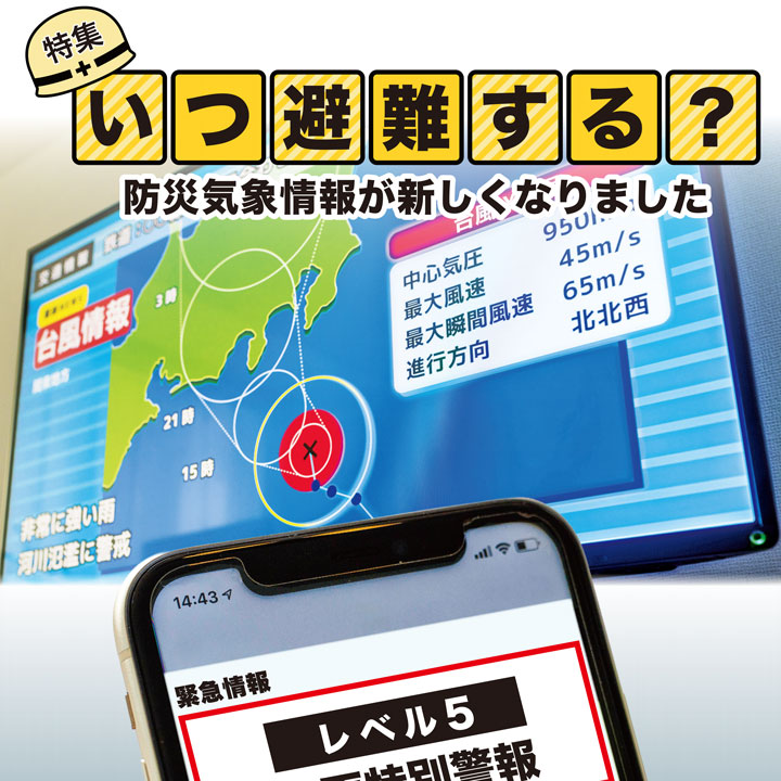 広報えどがわ6月1日号