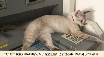 猫　無人ATM