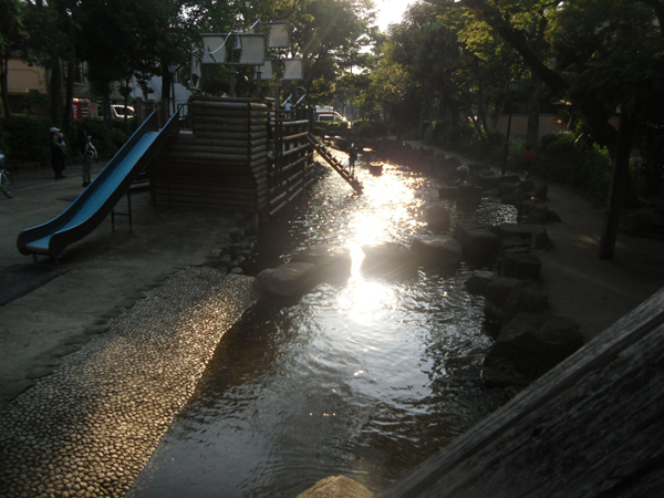 写真　小松川境川親水公園