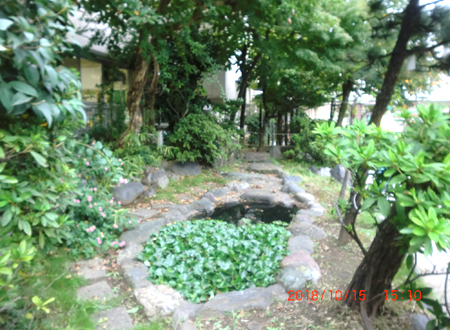 写真：小松川小学校の池（1）