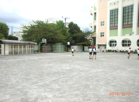 写真：小松川小学校の校庭