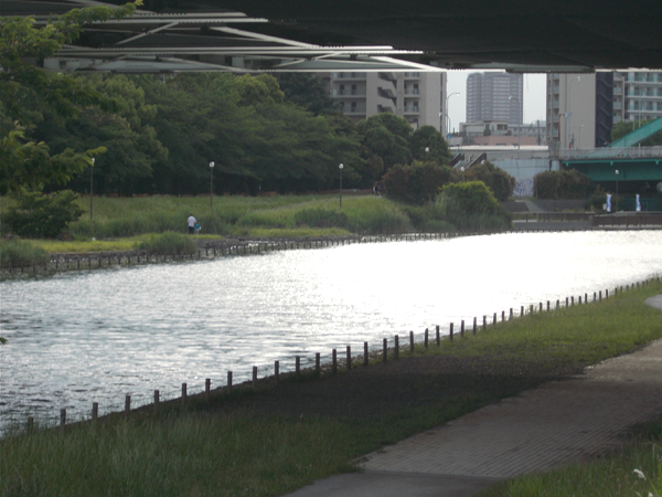 写真　旧中川の夕焼け