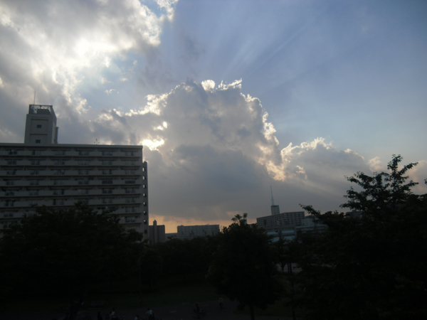 写真　大島小松川公園