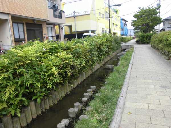 写真　東井堀親水緑道