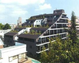 アデニウム北小岩の写真