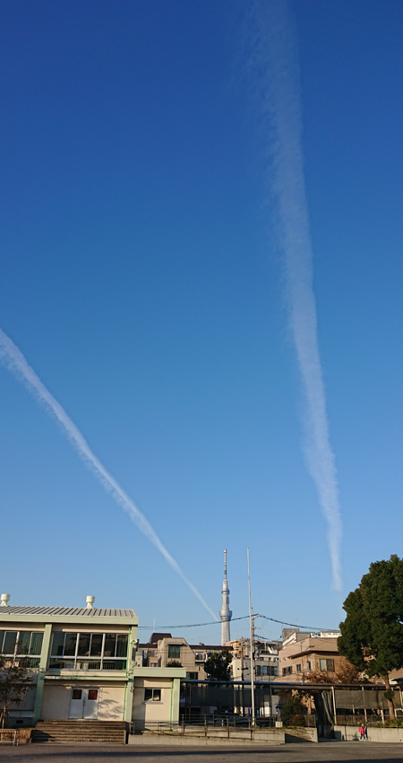 写真：青空と飛行機雲