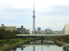 ふれあい橋から見た東京スカイツリー