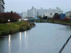 旧中川のふれあい橋・・・これからも平和が続きますように