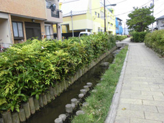 東井堀親水緑道