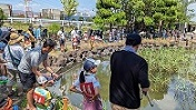つり大会