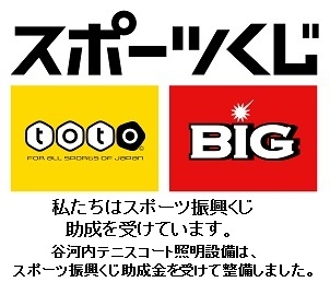 スポーツくじ,toto,BIG