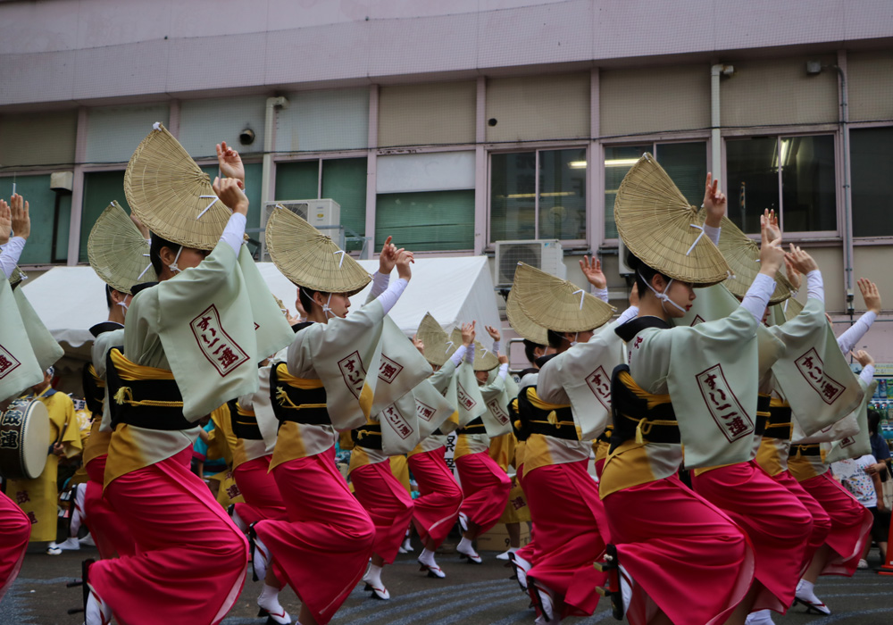 写真：小岩阿波おどりの様子