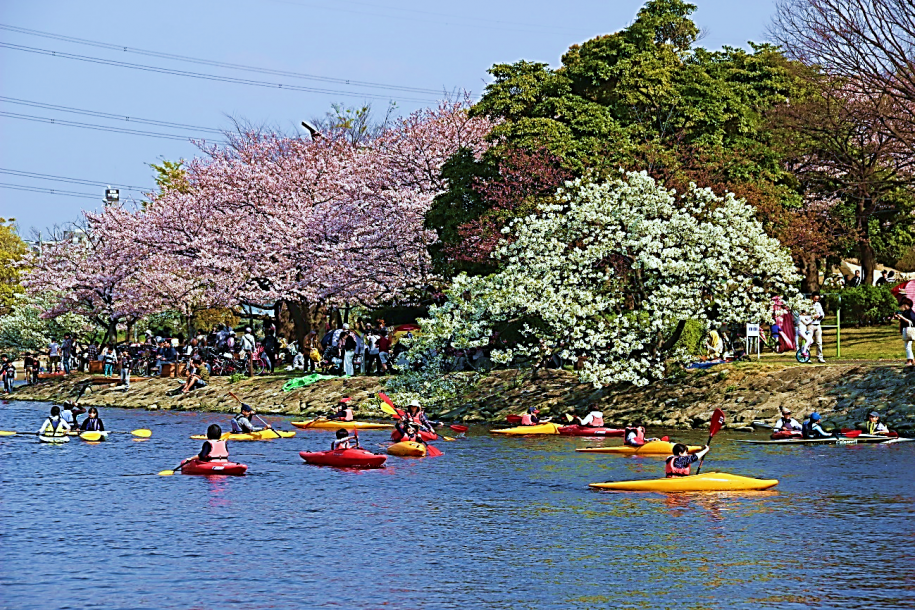 区民カヌー体験教室の様子