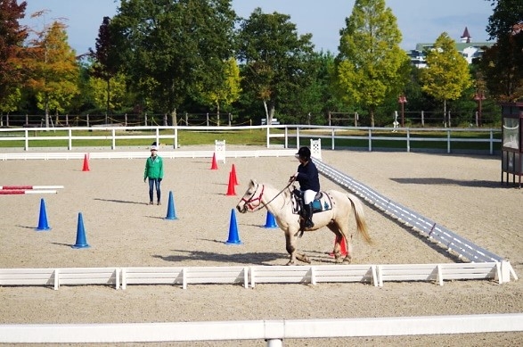 障害物を避ける選手と馬のコースの全景