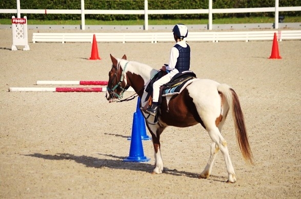 障害物を避ける選手と馬