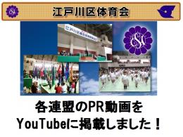 江戸川区体育会PR動画広告