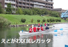 えどがわ区民レガッタ