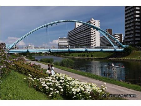 旧中川ふれあい橋