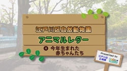 画像：江戸川区自然動物園 アニマルレター4 今年生まれた赤ちゃんたち