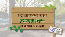 画像：江戸川区自然動物園 アニマルレター8 は虫類・リス・金魚