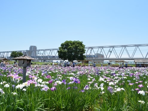 河川敷