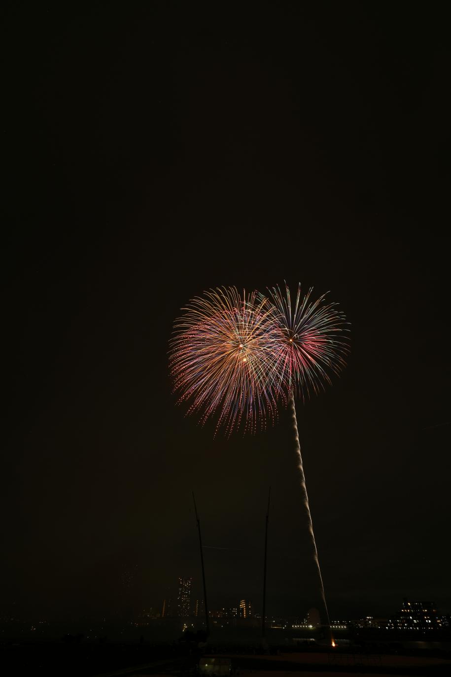 第44回花火大会の写真（縦5枚目）