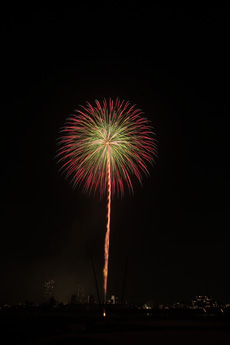 写真　2015年花火8