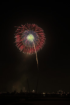 写真　2015年花火9