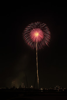 写真　2015年花火10