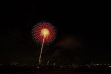 2014年江戸川区花火大会写真5