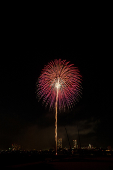 2014年江戸川区花火大会写真7