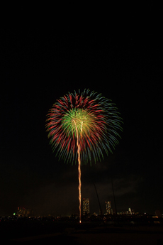 2014年江戸川区花火大会写真8