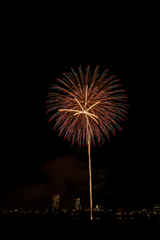 2014年江戸川区花火大会写真11