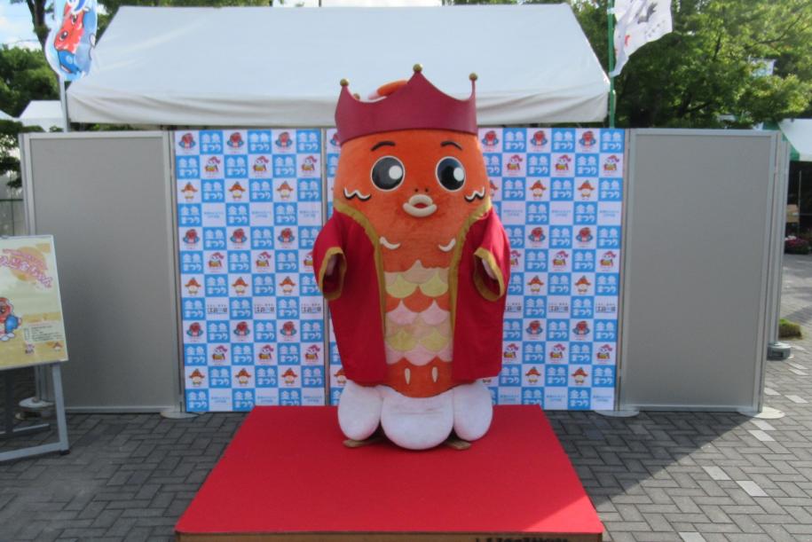 えど金ちゃん写真