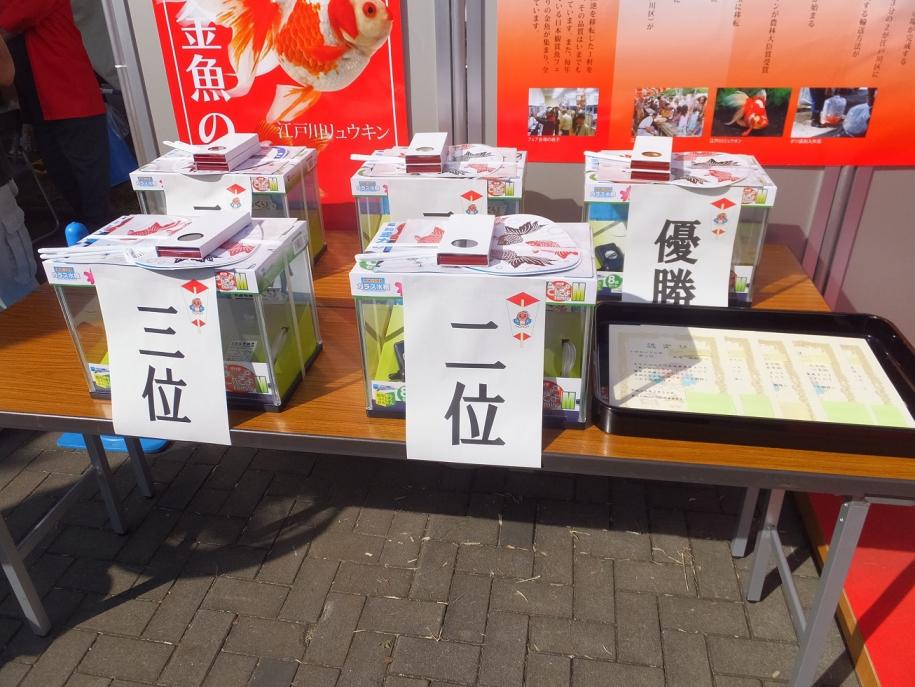 入賞景品