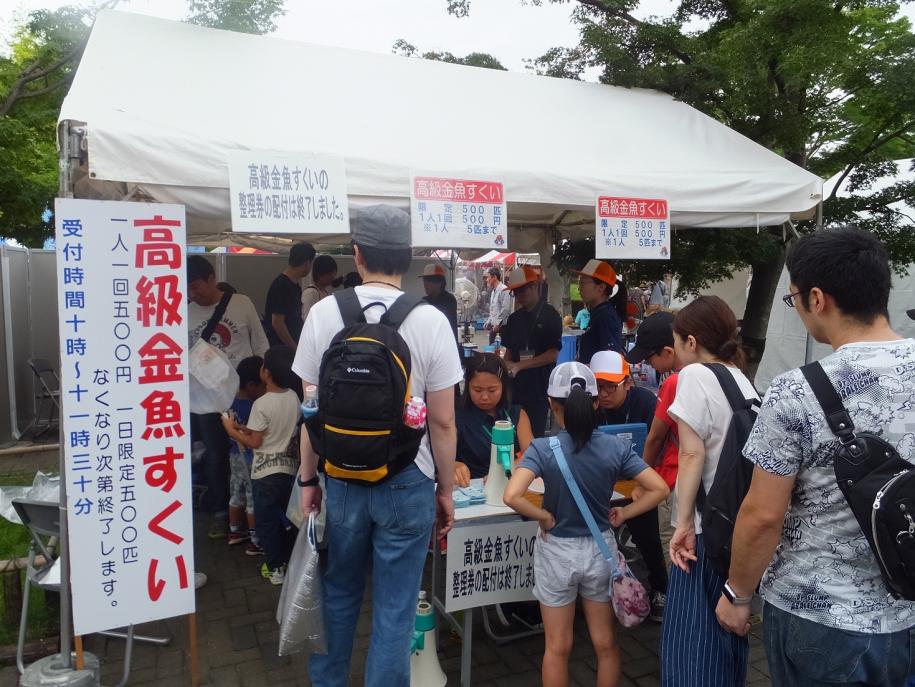 高級金魚すくいの様子