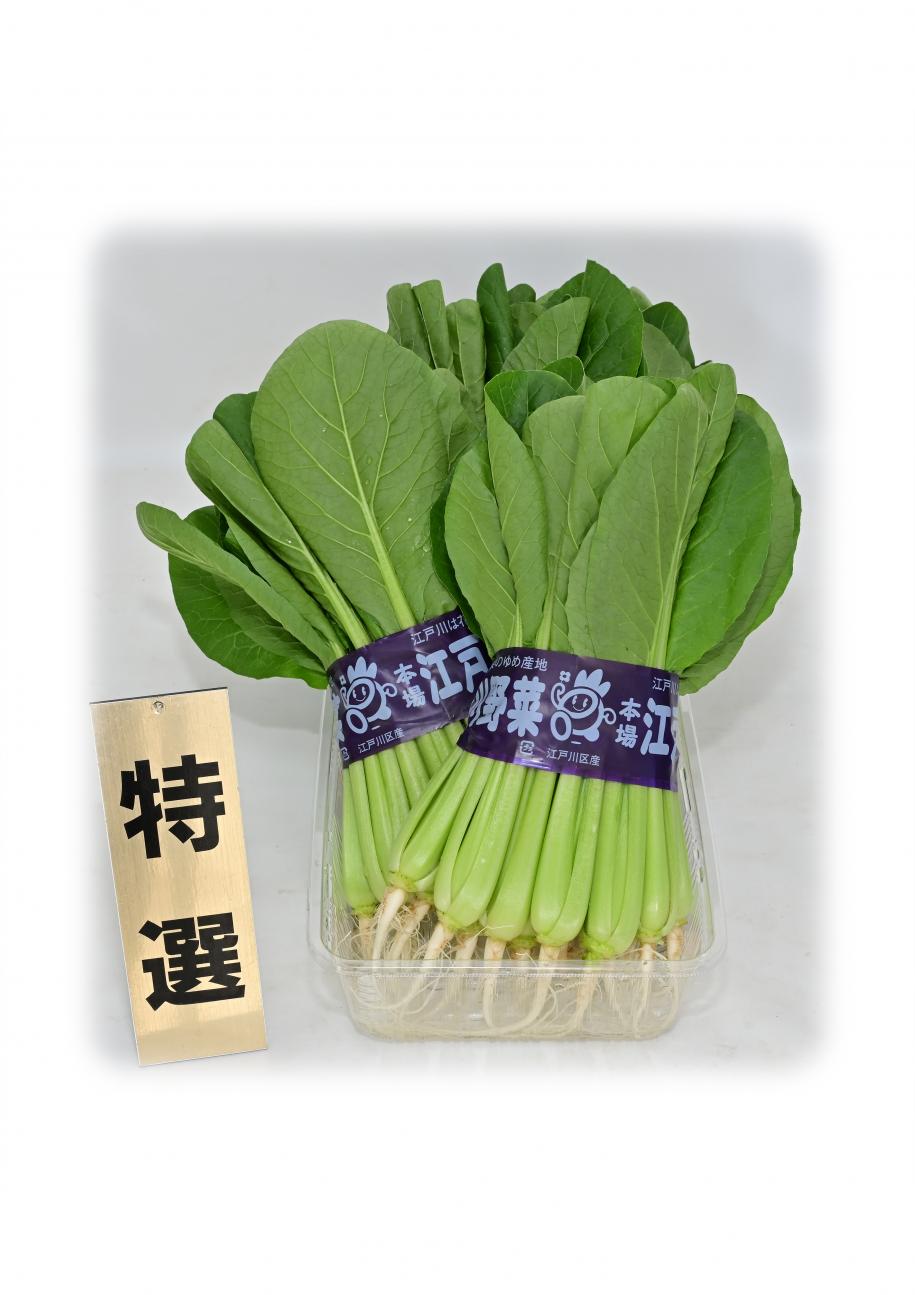 都知事