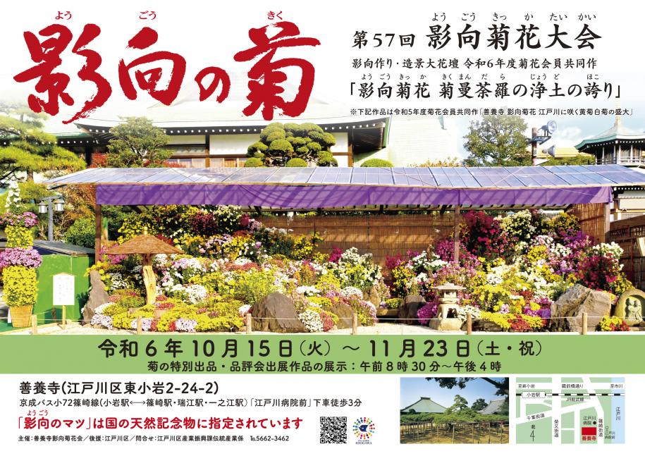 影向菊花大会
