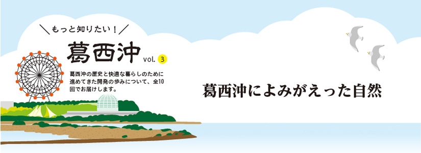 葛西沖の歴史と快適な暮らしのために進めてきた開発の歩みについて、全10回でお届けします。