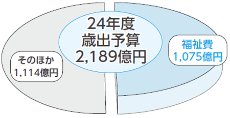 グラフ　24年度歳出予算　2189億円