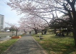 新左近川親水公園