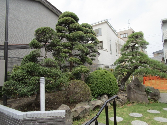 北小岩いこいの広場園内