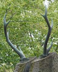鹿導