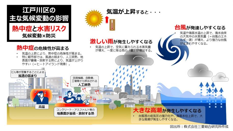 江戸川区の主な気候変動の影響