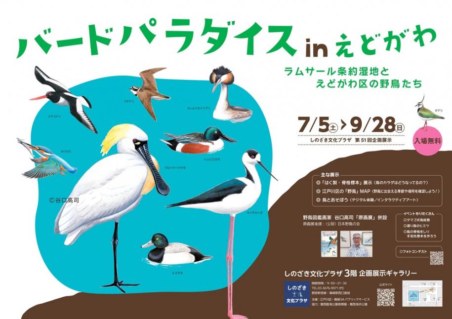 バードパラダイスinえどがわ　日時：7月5日（土曜日）から9月28日（日曜日）まで　場所：しのざき文化プラザ3階企画展示ギャラリー

