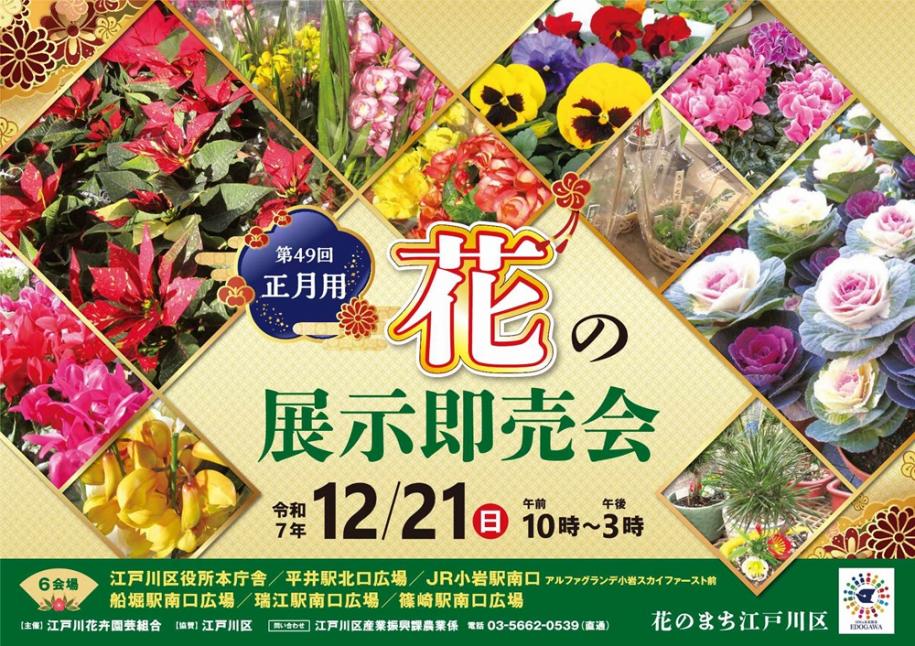 第49回正月用 花の展示即売会 令和7年12月21日午前10時~午後3時 会場:江戸川区役所本庁舎、平井駅北口広場、JR小岩駅南口、船堀駅南口広場、瑞江駅南口広場、篠崎駅南口広場
