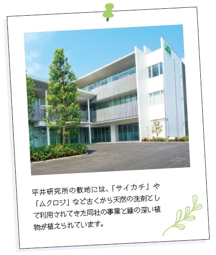 平井研究所の敷地には、古くから天然の洗剤として利用されてきた「サイカチ」や「ムクロジ」など、同社の事業と縁の深い植物が植えられて