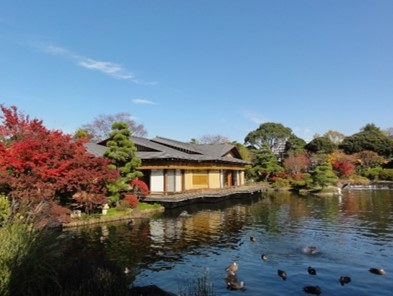 平成庭園・源心庵